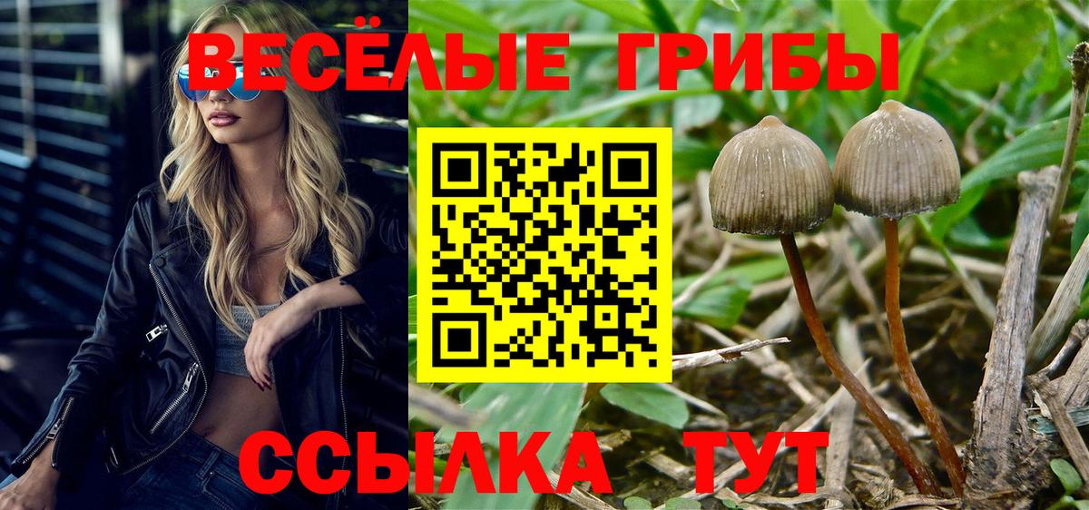 магазин  наркотиков  Вход с VPN  Сибай  Псилоцибиновые грибы мицелий 