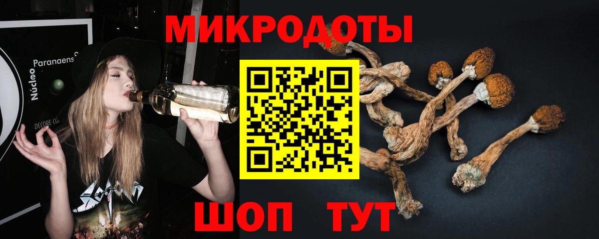 Псилоцибиновые грибы GOLDEN TEACHER Сибай